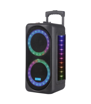 Juhtmevaba karaoke kõlar mikrofoni ja kaugjuhtimispuldiga 6000W GZ-X828
