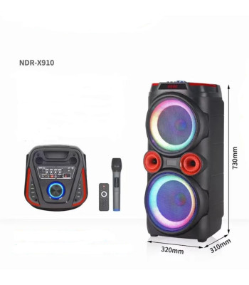 Juhtmevaba kaasaskantav karaoke kõlar mikrofoni ja kaugjuhtimispuldiga 200w GZ-X-910/NDR-X910