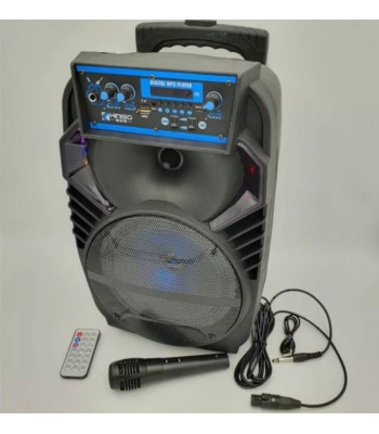 Juhtmevaba kõlar Kimiso QS-801 tulede ja mikrofoniga