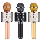 Karaoke mikrofon salvestusfunktsiooniga WS-858