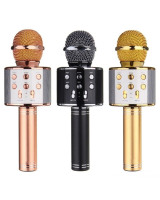 Karaoke mikrofon WS-858