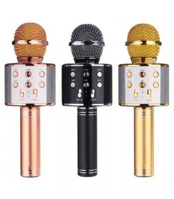 Karaoke mikrofon salvestusfunktsiooniga WS-858