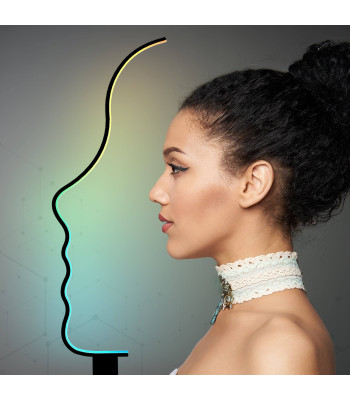 RGB LED põrandalamp - siluettlamp N1744/22