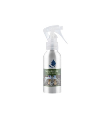 Allnano Dry Shoes (80ml) jalatsikaitse kuni 2 aastat