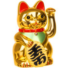 Hiina kass on kuldne