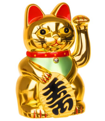 Hiina kass on kuldne