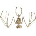 Nahkhiire skelett - Halloweeni kaunistus 30cm