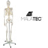 Inimese skelett - 170 cm Malatec 22583