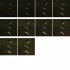 Izoxis laualamp metallklambriga ja alusega