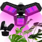 Kasvulamp taimedele 108 LED