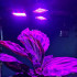 Kasvulamp taimedele 108 LED