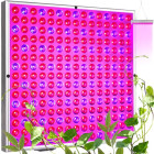 Rippvalgusti LED paneel taimede kasvatamiseks 225 LED + köied