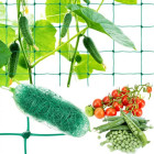 Taimede Toetamiseks Mõeldud Võrk