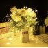 Solarne LED-girlandid 15m IP44 Gardlov