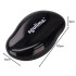 Kristalne pimsskivi 3D Soulima 25745