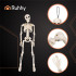 Skeletas - dekoracija 40cm Ruhhy 26027