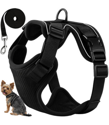 Purlov Guardi loomadele rihmad