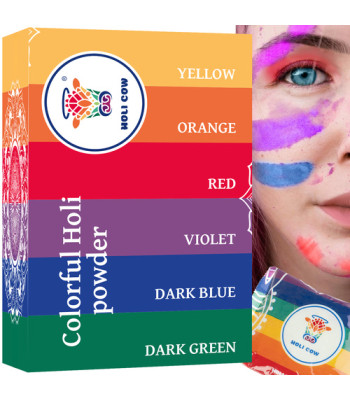 Värvilise holi pulbri komplekt, 6 × 100 g