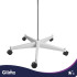 Inimese anatoomiline skelett Glimz 170 cm