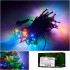 LED valguskett 10m 100LED mitmevärviline