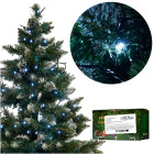 LED valguskett