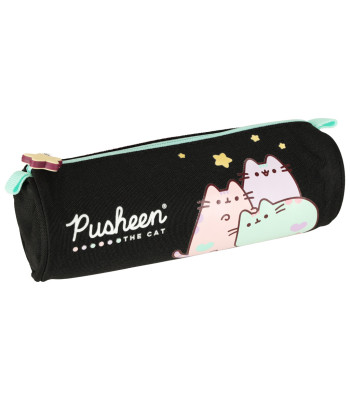 Koolitarvete Pusheen pinal