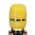 Juhtmevaba karaoke mikrofon Bluetooth kuldne