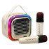 Karaoke kõlar USB Bluetooth kreem