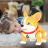 Interaktiivne koerakutsikas Corgi