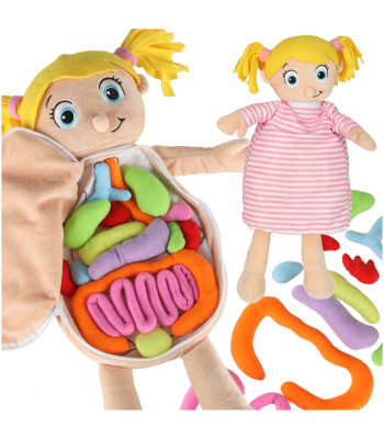 Anatoomia õppelõng nukk tüdrukutele