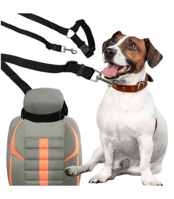 Auto turvarihm koerale ja kassile, must, 45cm–80cm