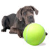 Koera mänguasi – hiiglaslik tennisepall, XXL 24cm