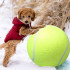 Koera mänguasi – hiiglaslik tennisepall, XXL 24cm