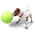Koera mänguasi – hiiglaslik tennisepall, XXL 24cm