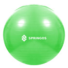 Treeningpall pumbaga Springos FB0007 65cm