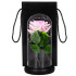 Dekoratiivne LED roosi lamp