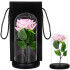 Dekoratiivne LED roosi lamp