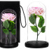 Dekoratiivne LED roosi lamp
