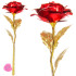 Igavene roos Springos HA5158