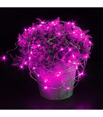 Mikrolambid 20 LED