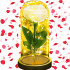 Springos® LED dekoratiivlamp