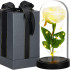 Springos® LED dekoratiivlamp