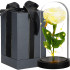Springos® LED dekoratiivlamp