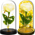 Springos® LED dekoratiivlamp
