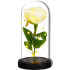 Springos® LED dekoratiivlamp
