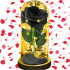 LED Rose Lamp