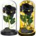 LED Rose Lamp