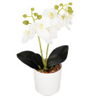 Kunstlik orhidee Springos HA7423