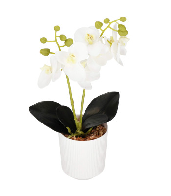 Kunstlik orhidee Springos HA7423