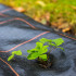 Agrotekstiil umbrohu vastu Springos AG0034